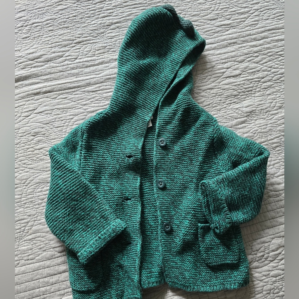 Baby Gap Dino Sweater